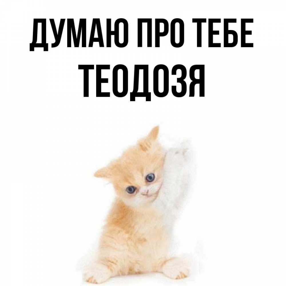 Открытка на каждый день з підписом, Теодозя Думаю про тебе зверушки и милота Прикольна листівка з побажанням онлайн скачати безкоштовно 