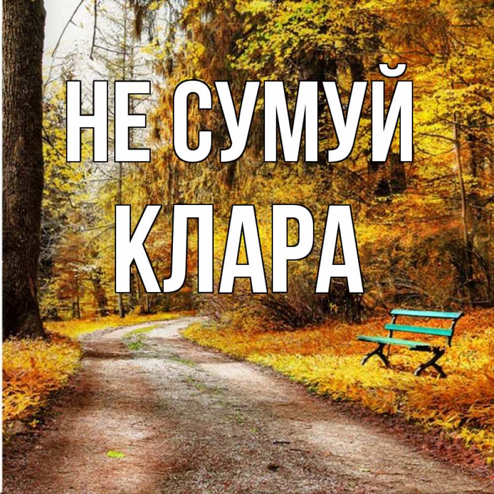 Открытка на каждый день з підписом, Клара Не сумуй зеленая лавочка Прикольна листівка з побажанням онлайн скачати безкоштовно 