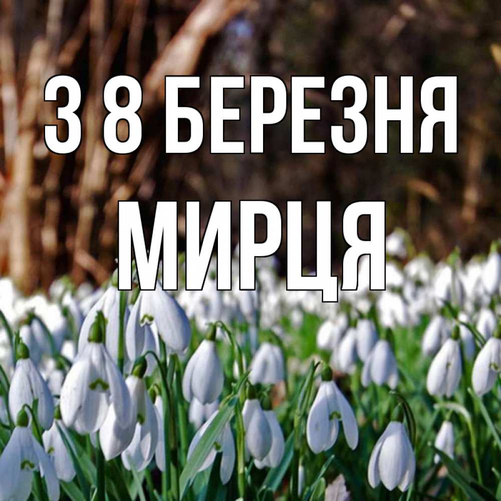 Открытка на каждый день з підписом, Мирця З 8 БЕРЕЗНЯ с подснежниками 1 Прикольна листівка з побажанням онлайн скачати безкоштовно 