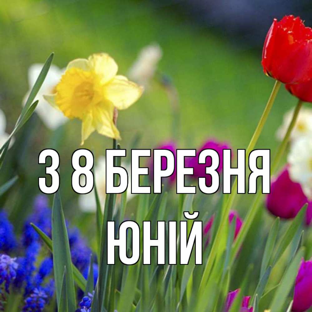 Открытка на каждый день з підписом, Юній З 8 БЕРЕЗНЯ международный женский день 3 Прикольна листівка з побажанням онлайн скачати безкоштовно 