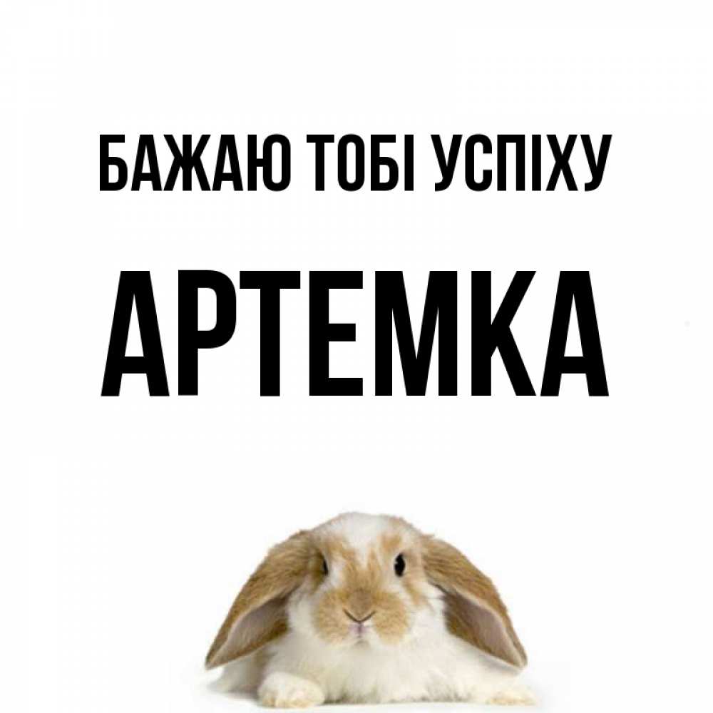 Открытка на каждый день з підписом, Артемка Бажаю тобі успіху открытки с произвольным текстом который можно вставить в открытку и создать ее самостоятельно бесплатно онлайн Прикольна листівка з побажанням онлайн скачати безкоштовно 