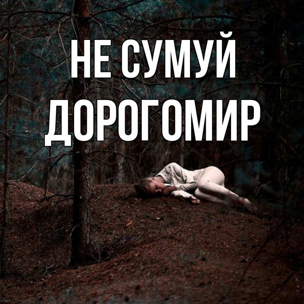 Открытка на каждый день з підписом, Дорогомир Не сумуй лес Прикольна листівка з побажанням онлайн скачати безкоштовно 