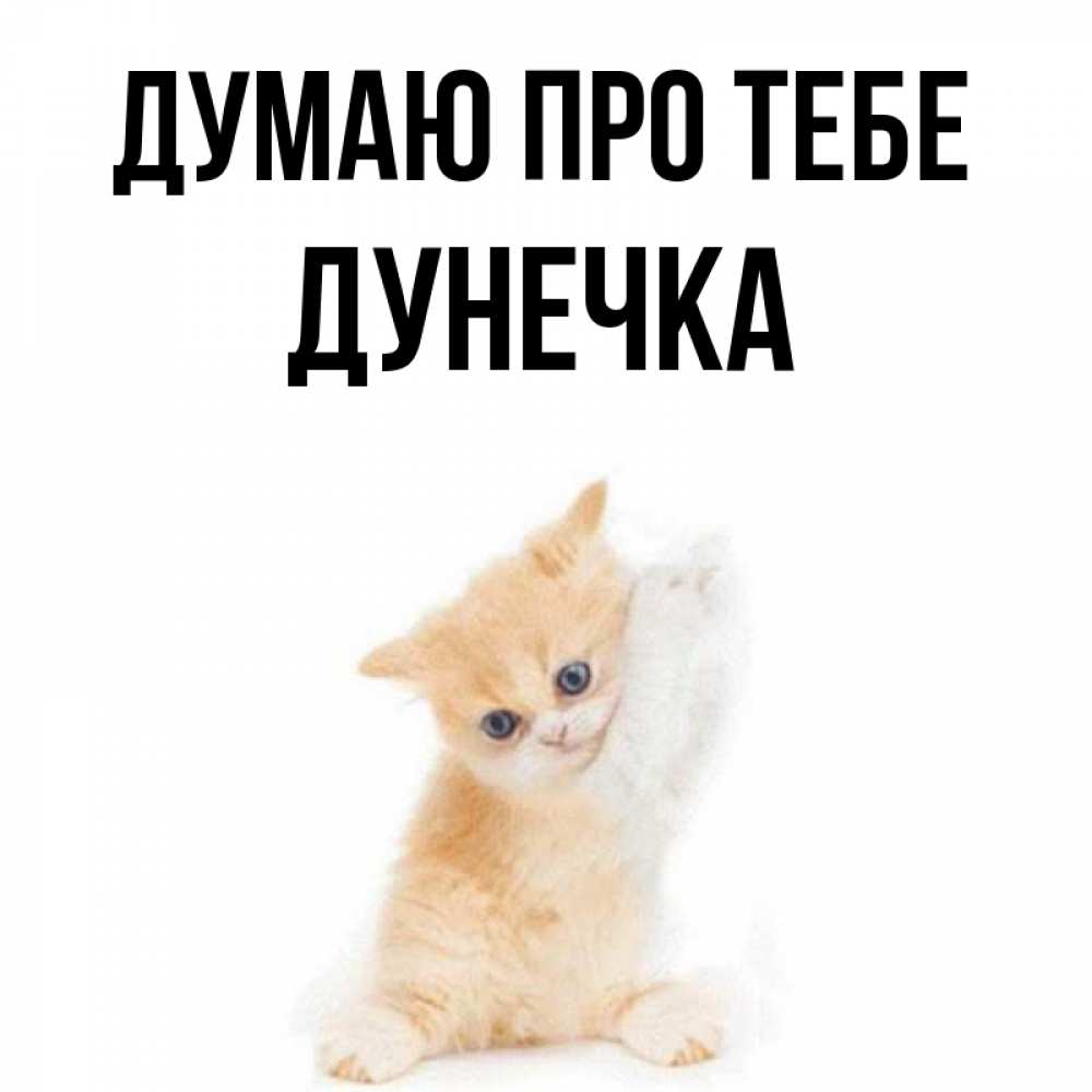 Открытка на каждый день з підписом, Дунечка Думаю про тебе зверушки и милота Прикольна листівка з побажанням онлайн скачати безкоштовно 