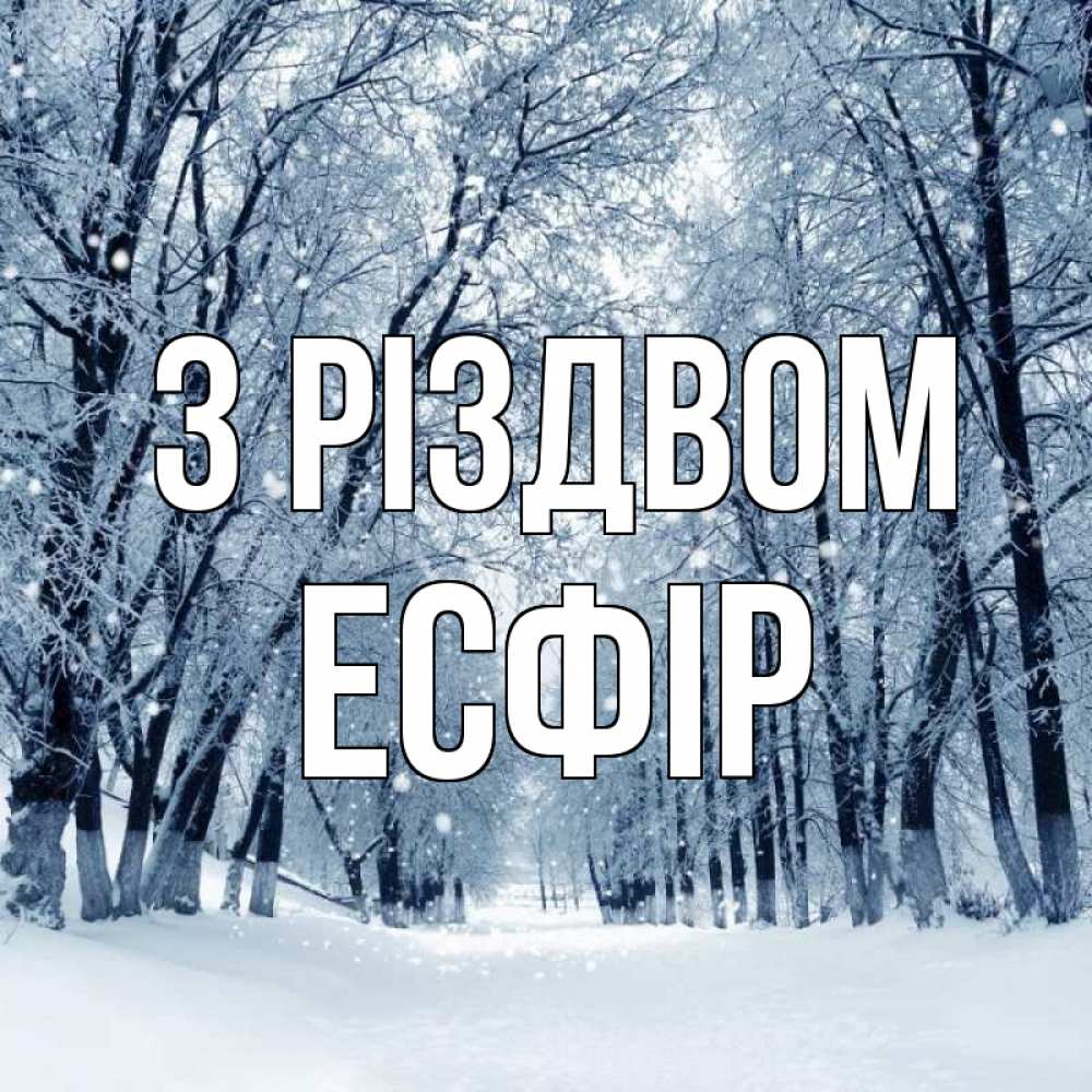 Открытка на каждый день з підписом, Есфір З Різдвом снег, лес, парк Прикольна листівка з побажанням онлайн скачати безкоштовно 