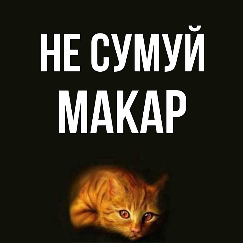 Открытка на каждый день з підписом, Макар Не сумуй лежащий кот в темноте Прикольна листівка з побажанням онлайн скачати безкоштовно 