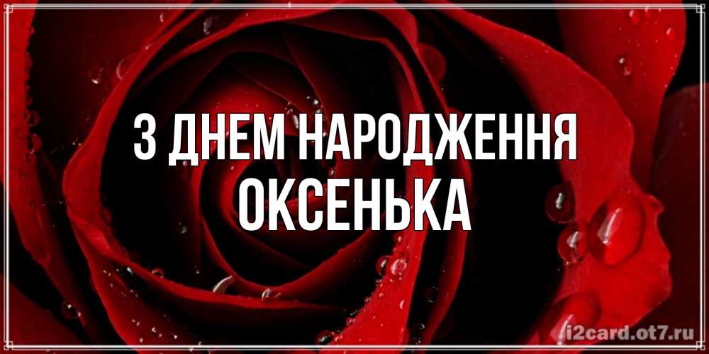 Открытка на каждый день з підписом, Оксенька З Днем народження крупная бордовая роза Прикольна листівка з побажанням онлайн скачати безкоштовно 