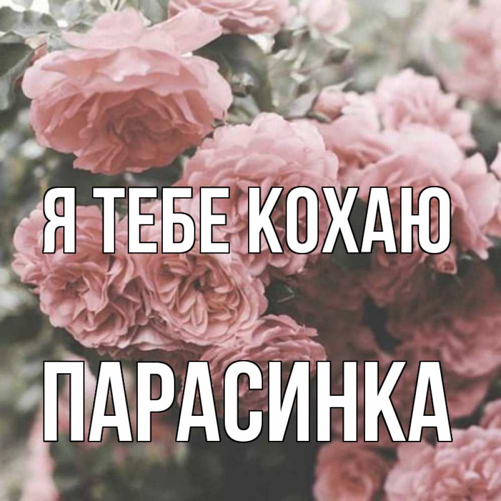 Открытка на каждый день з підписом, Парасинка Я тебе кохаю розы 3 Прикольна листівка з побажанням онлайн скачати безкоштовно 