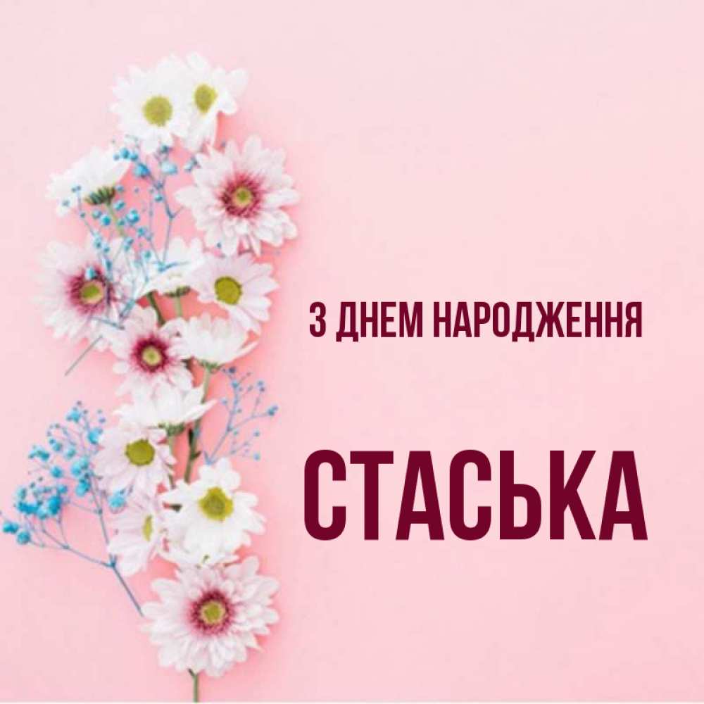Открытка на каждый день з підписом, Стаська З Днем народження Родная моя с днем рождения тебя картинка с цветами белыми и голубыми Прикольна листівка з побажанням онлайн скачати безкоштовно 