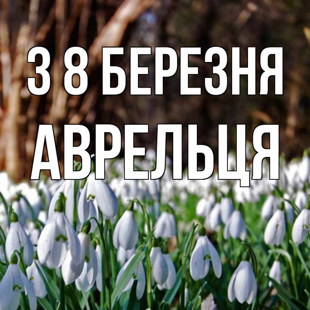Открытка на каждый день з підписом, Аврельця З 8 БЕРЕЗНЯ с подснежниками 1 Прикольна листівка з побажанням онлайн скачати безкоштовно 
