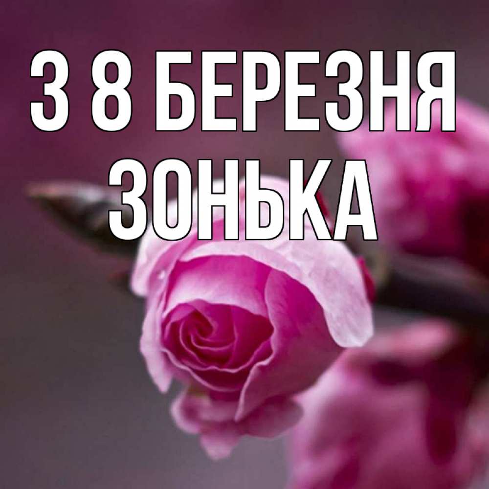 Открытка на каждый день з підписом, Зонька З 8 БЕРЕЗНЯ весна Прикольна листівка з побажанням онлайн скачати безкоштовно 