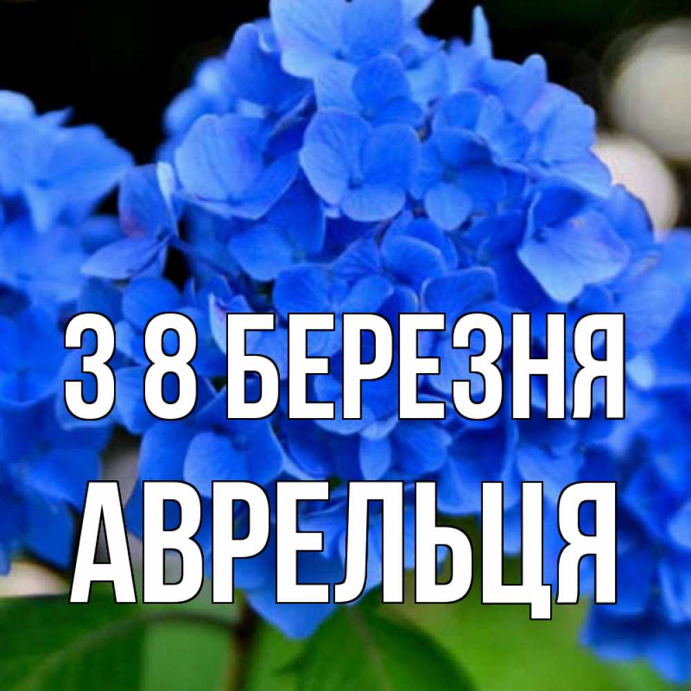 Открытка на каждый день з підписом, Аврельця З 8 БЕРЕЗНЯ синие цветы Прикольна листівка з побажанням онлайн скачати безкоштовно 