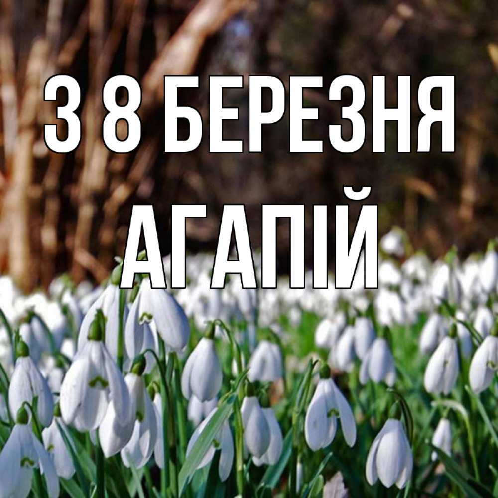 Открытка на каждый день з підписом, Агапій З 8 БЕРЕЗНЯ с подснежниками 1 Прикольна листівка з побажанням онлайн скачати безкоштовно 