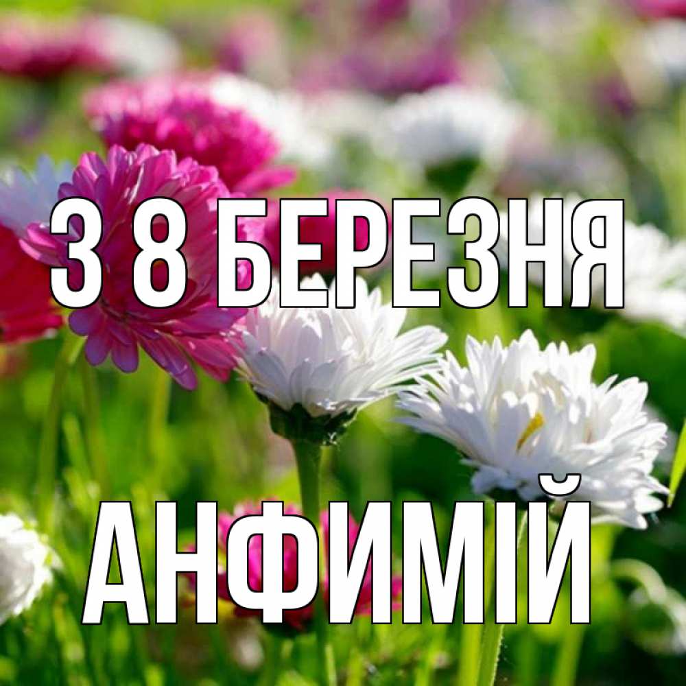 Открытка на каждый день з підписом, Анфимій З 8 БЕРЕЗНЯ международный женский день 1 Прикольна листівка з побажанням онлайн скачати безкоштовно 