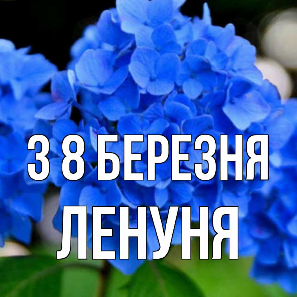 Открытка на каждый день з підписом, Ленуня З 8 БЕРЕЗНЯ синие цветы Прикольна листівка з побажанням онлайн скачати безкоштовно 