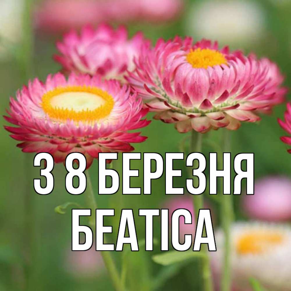 Открытка на каждый день з підписом, Беатіса З 8 БЕРЕЗНЯ подарок на международный женский день Прикольна листівка з побажанням онлайн скачати безкоштовно 