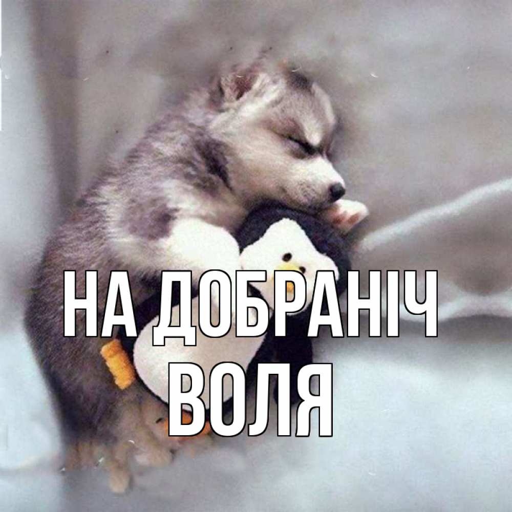 Открытка на каждый день з підписом, Воля На добраніч обнимашки щенка и пингвина Прикольна листівка з побажанням онлайн скачати безкоштовно 