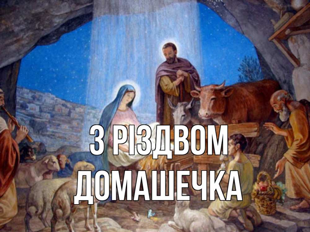 Открытка на каждый день з підписом, Домашечка З Різдвом Хлев с животными, Иисус, рождество Прикольна листівка з побажанням онлайн скачати безкоштовно 