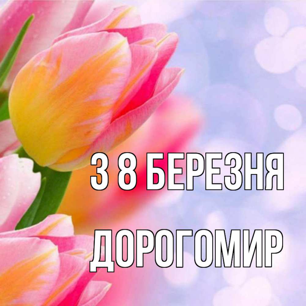 Открытка на каждый день з підписом, Дорогомир З 8 БЕРЕЗНЯ тюльпаны 2 Прикольна листівка з побажанням онлайн скачати безкоштовно 