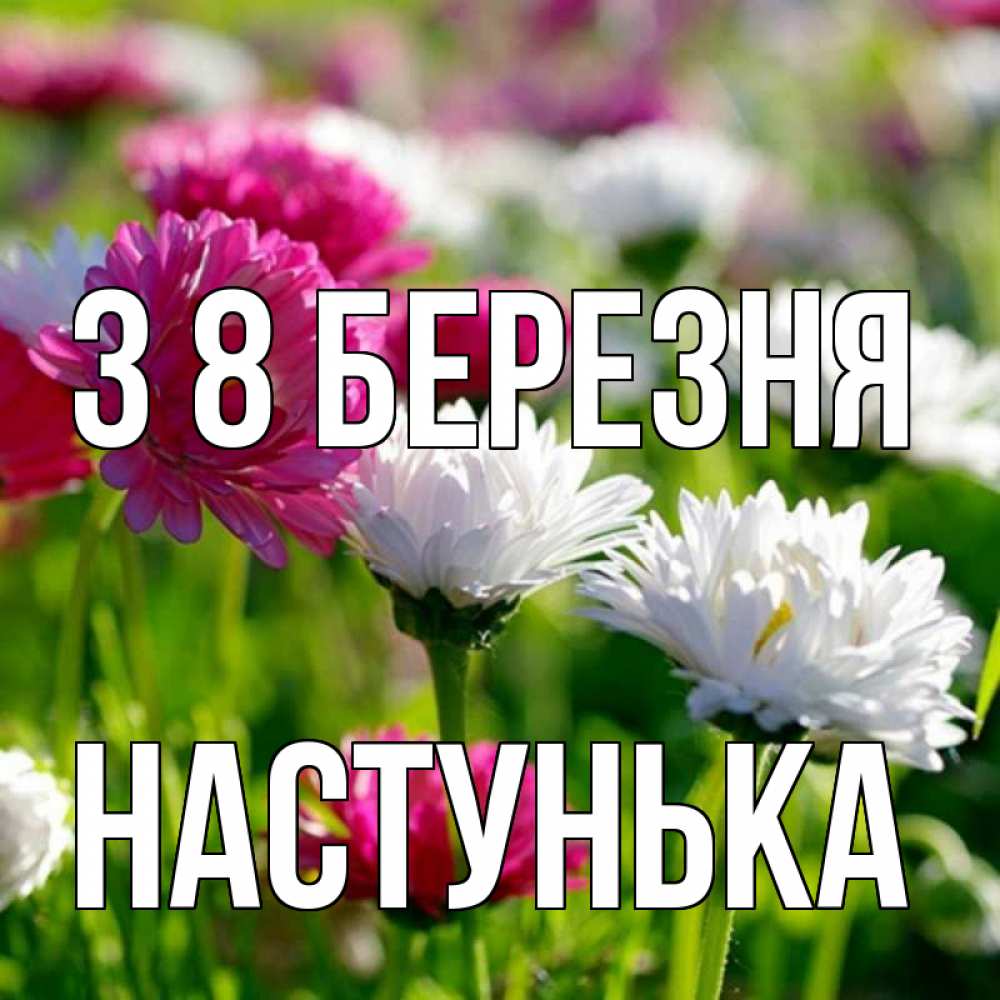 Открытка на каждый день з підписом, Настунька З 8 БЕРЕЗНЯ международный женский день 1 Прикольна листівка з побажанням онлайн скачати безкоштовно 