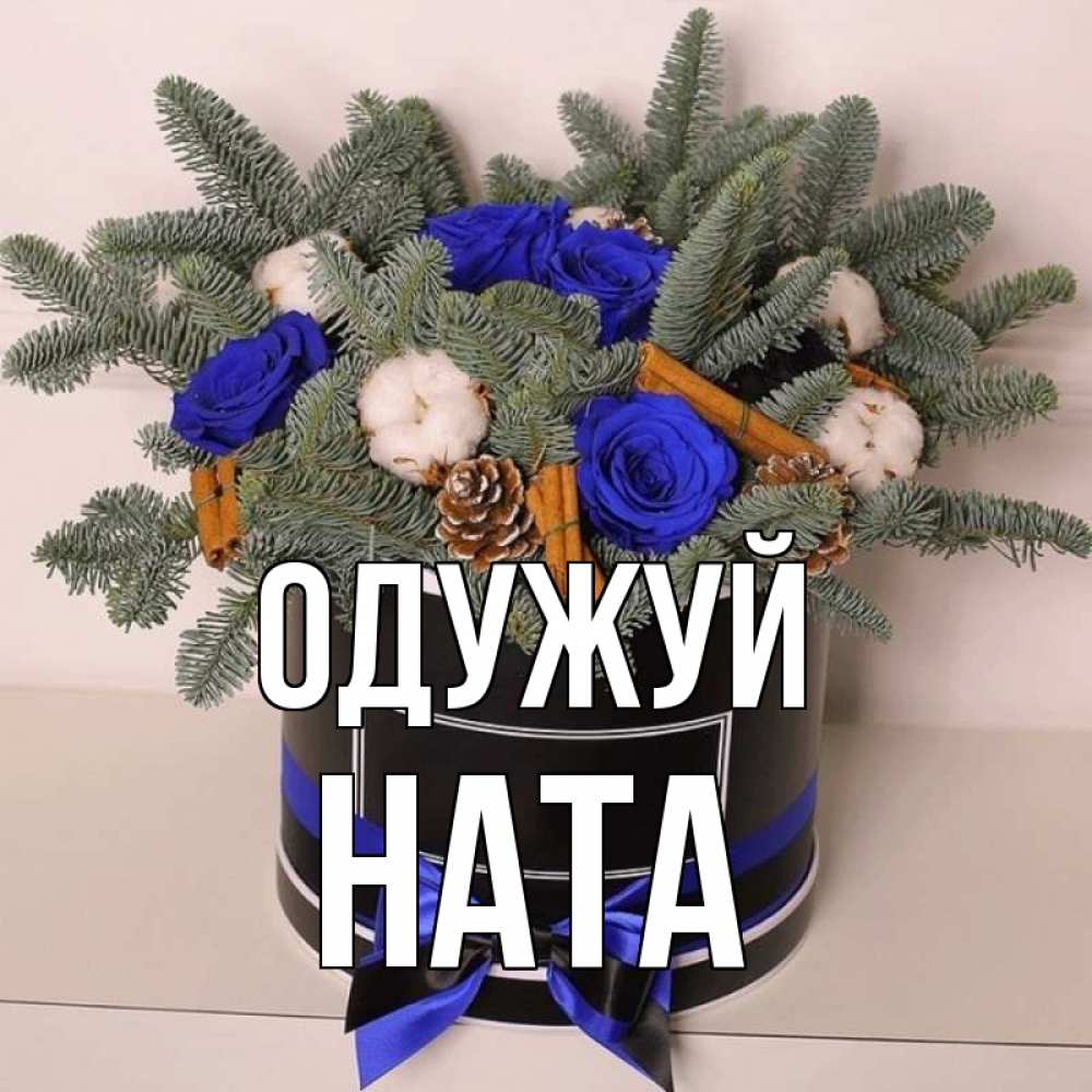 Открытка на каждый день з підписом, Ната Одужуй короче кто то загрузил эти шишки Прикольна листівка з побажанням онлайн скачати безкоштовно 