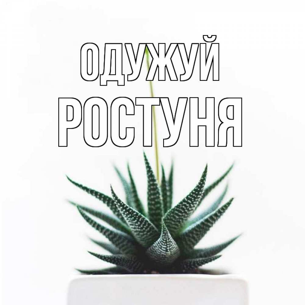 Открытка на каждый день з підписом, Ростуня Одужуй короче это непонятная колючка Прикольна листівка з побажанням онлайн скачати безкоштовно 