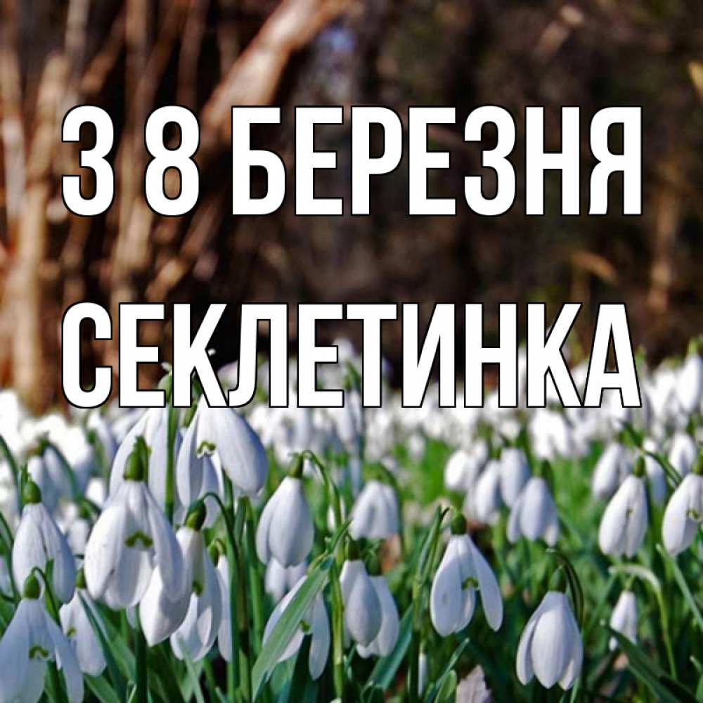 Открытка на каждый день з підписом, Секлетинка З 8 БЕРЕЗНЯ с подснежниками 1 Прикольна листівка з побажанням онлайн скачати безкоштовно 