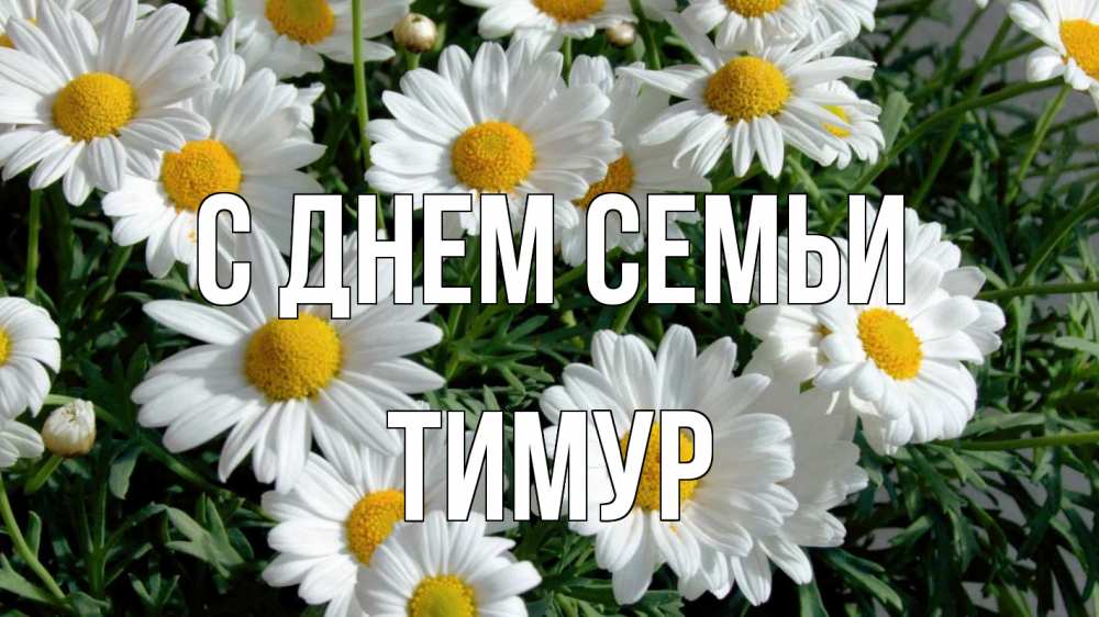 Открытка на каждый день з підписом, Тимур С днем семьи с днем семьи Прикольна листівка з побажанням онлайн скачати безкоштовно 