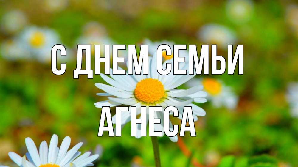 Открытка на каждый день з підписом, Агнеса С днем семьи с днем семьи Прикольна листівка з побажанням онлайн скачати безкоштовно 