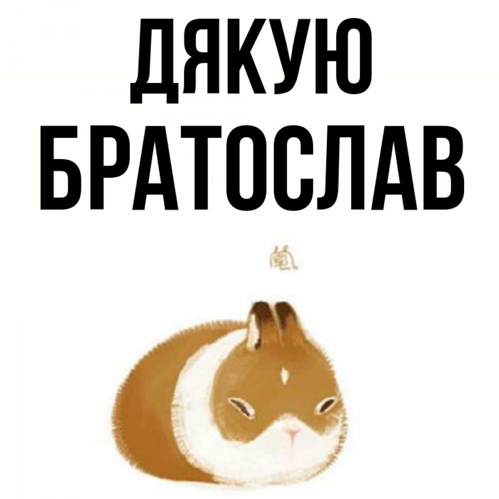 Открытка на каждый день з підписом, Братослав Дякую коричнево белый домашний питомец Прикольна листівка з побажанням онлайн скачати безкоштовно 
