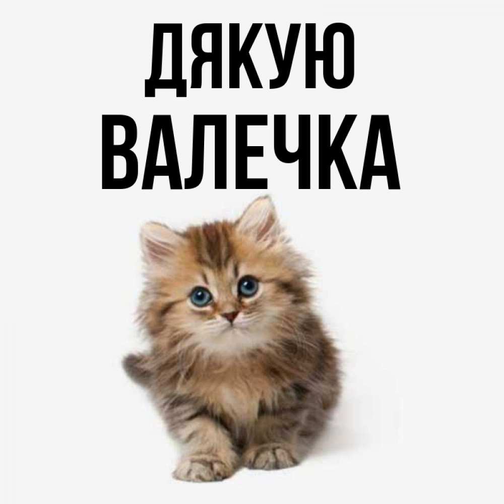 Открытка на каждый день з підписом, Валечка Дякую пушистый котик Прикольна листівка з побажанням онлайн скачати безкоштовно 