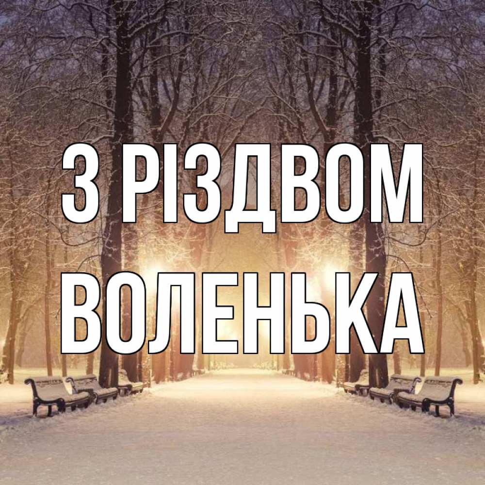 Открытка на каждый день з підписом, Воленька З Різдвом зима, парк, фонарь, лес Прикольна листівка з побажанням онлайн скачати безкоштовно 