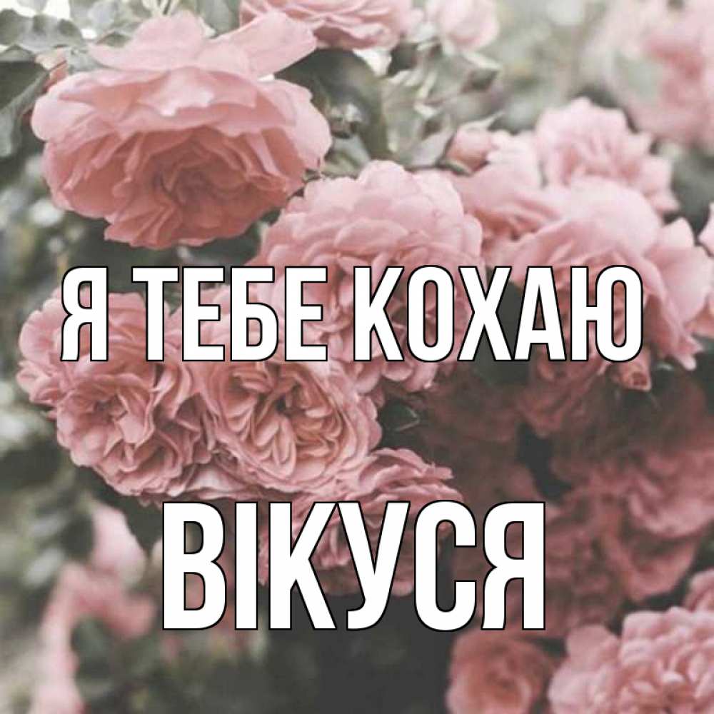 Открытка на каждый день з підписом, Вікуся Я тебе кохаю розы 3 Прикольна листівка з побажанням онлайн скачати безкоштовно 