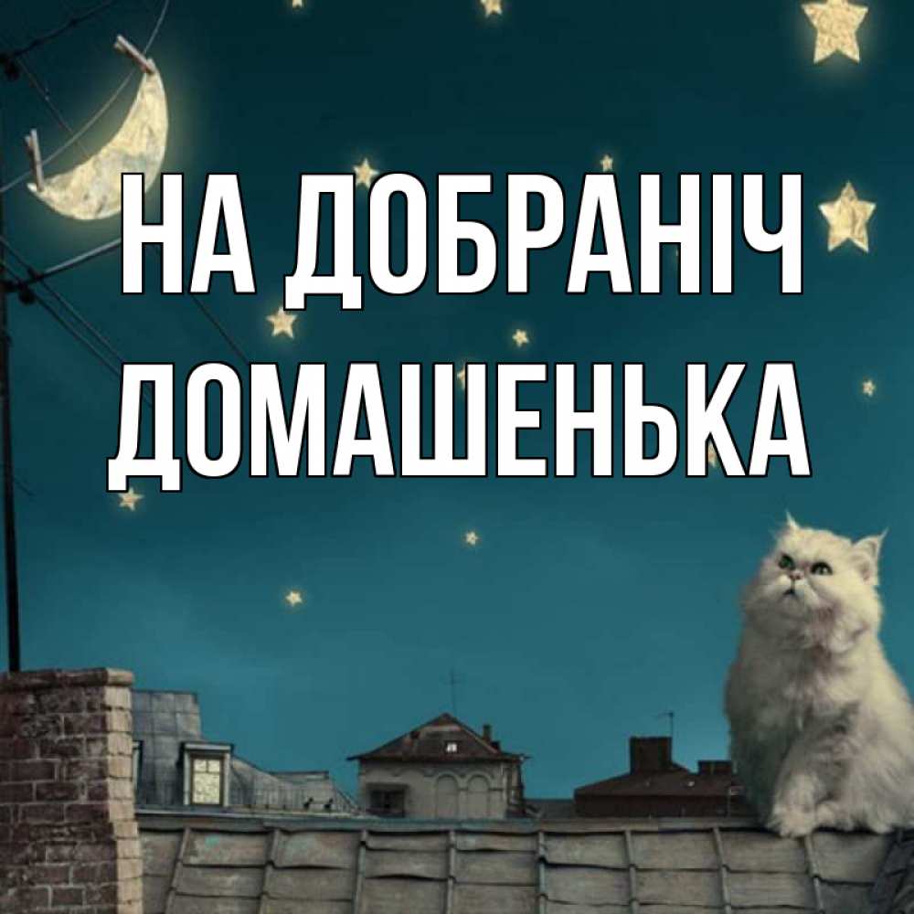 Открытка на каждый день з підписом, Домашенька На добраніч белый кот сидит на крыше Прикольна листівка з побажанням онлайн скачати безкоштовно 