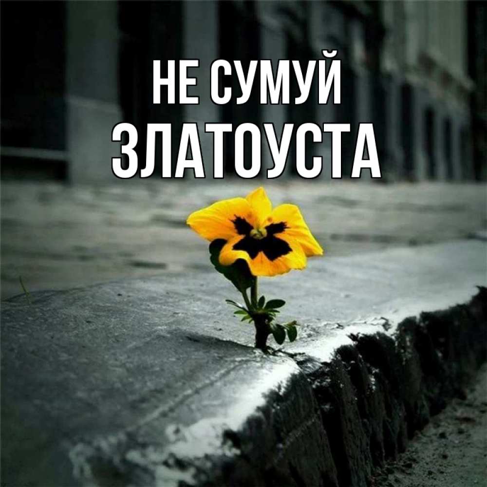 Открытка на каждый день з підписом, Златоуста Не сумуй не сдавайся Прикольна листівка з побажанням онлайн скачати безкоштовно 