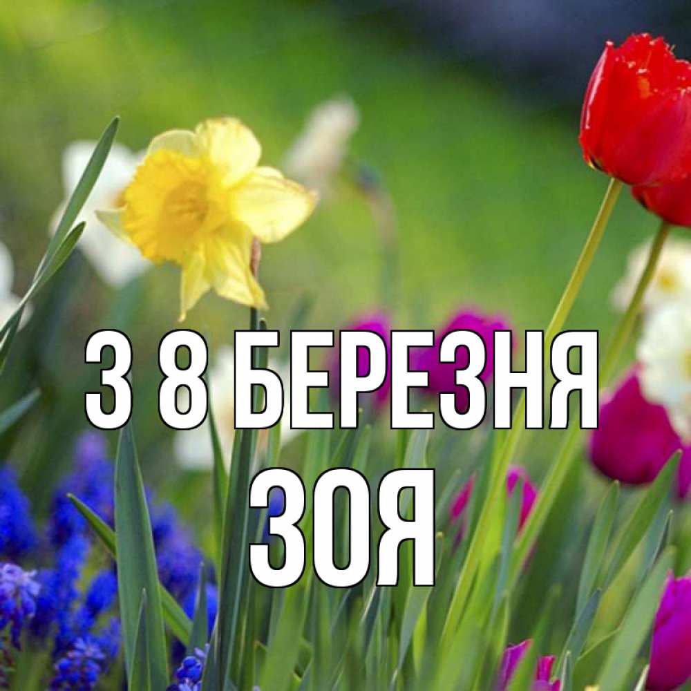 Открытка на каждый день з підписом, Зоя З 8 БЕРЕЗНЯ международный женский день 3 Прикольна листівка з побажанням онлайн скачати безкоштовно 