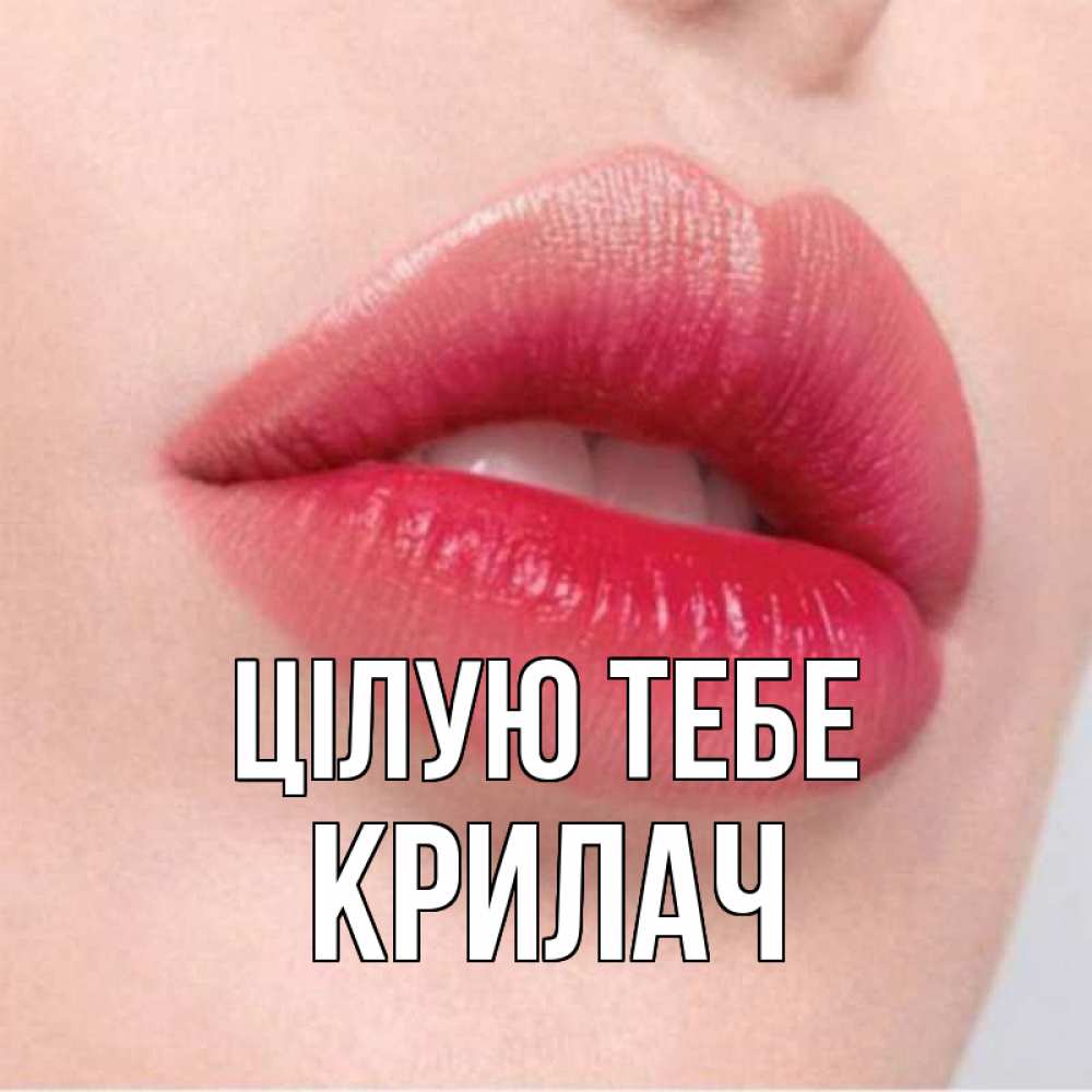 Открытка на каждый день з підписом, Крилач Цілую тебе губы зубки и нежная кожа Прикольна листівка з побажанням онлайн скачати безкоштовно 