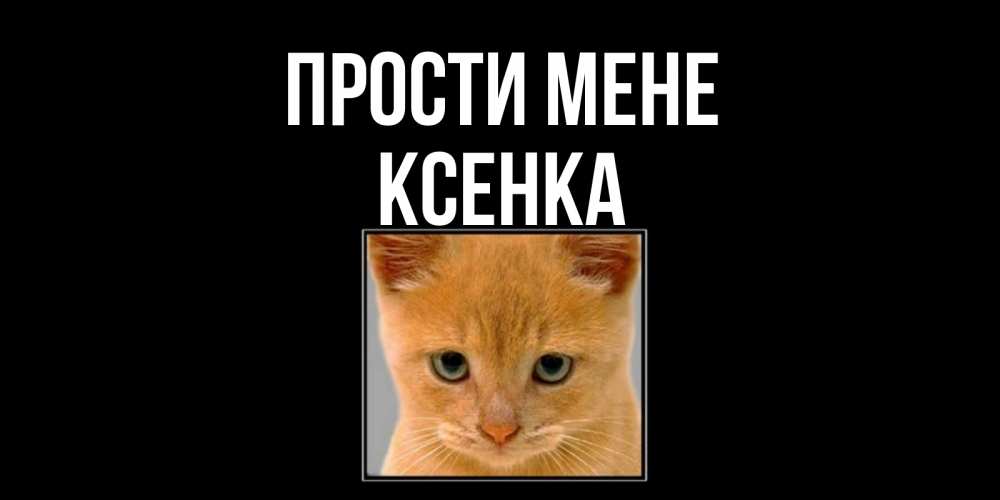 Открытка на каждый день з підписом, Ксенка Прости мене рыжий грустный кот просит прощения Прикольна листівка з побажанням онлайн скачати безкоштовно 
