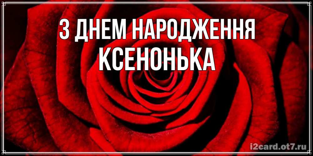 Открытка на каждый день з підписом, Ксенонька З Днем народження алая роза Прикольна листівка з побажанням онлайн скачати безкоштовно 