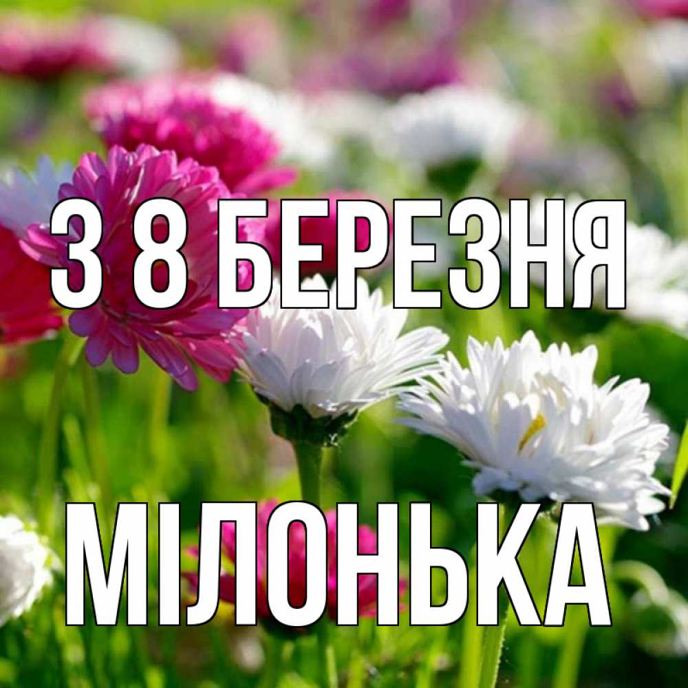 Открытка на каждый день з підписом, Мілонька З 8 БЕРЕЗНЯ международный женский день 1 Прикольна листівка з побажанням онлайн скачати безкоштовно 