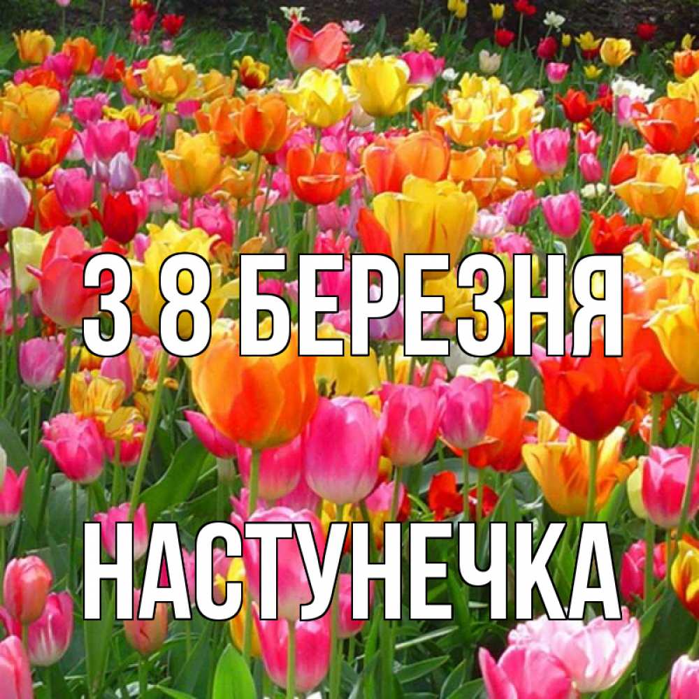Открытка на каждый день з підписом, Настунечка З 8 БЕРЕЗНЯ на международный женский день Прикольна листівка з побажанням онлайн скачати безкоштовно 