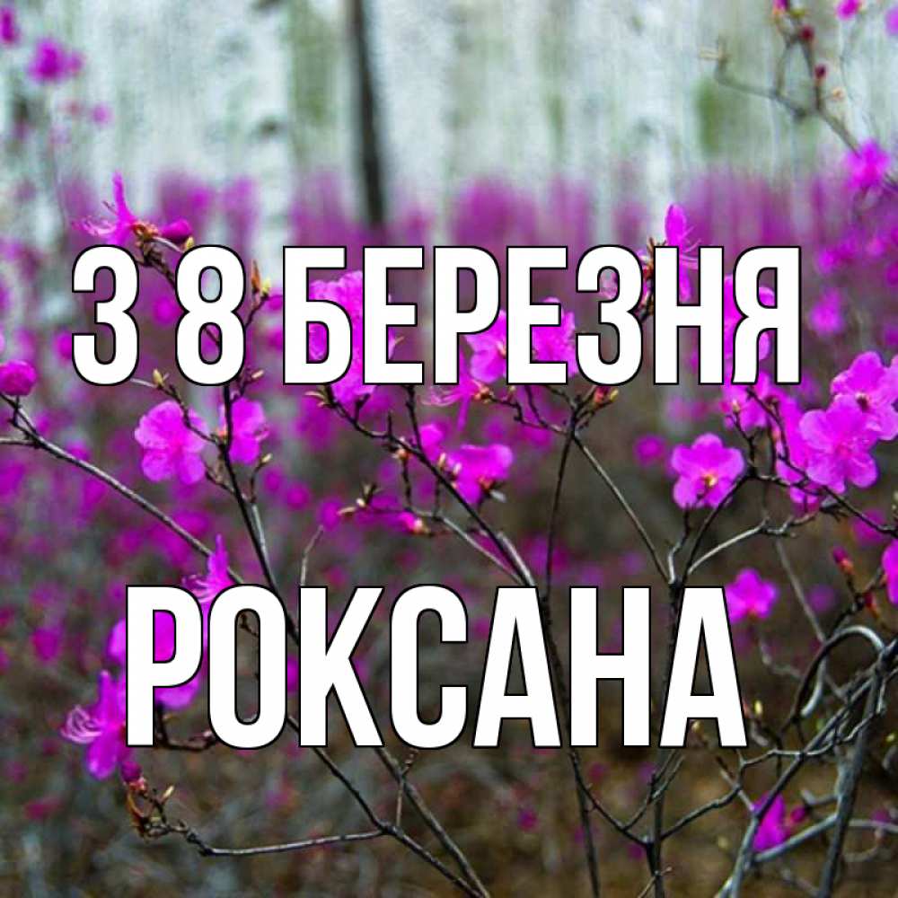 Открытка на каждый день з підписом, Роксана З 8 БЕРЕЗНЯ дикие цветы Прикольна листівка з побажанням онлайн скачати безкоштовно 