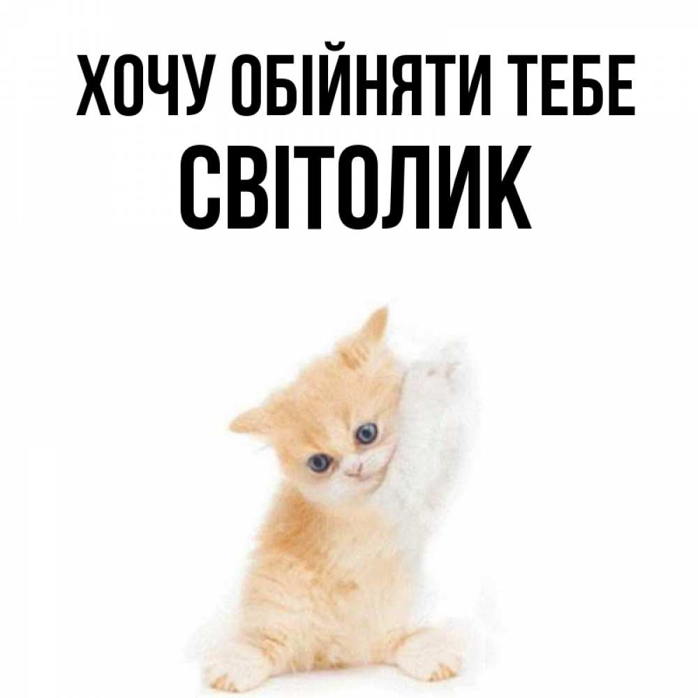 Открытка на каждый день з підписом, Світолик Хочу обійняти тебе я хочу очень скорее обнимаешек Прикольна листівка з побажанням онлайн скачати безкоштовно 