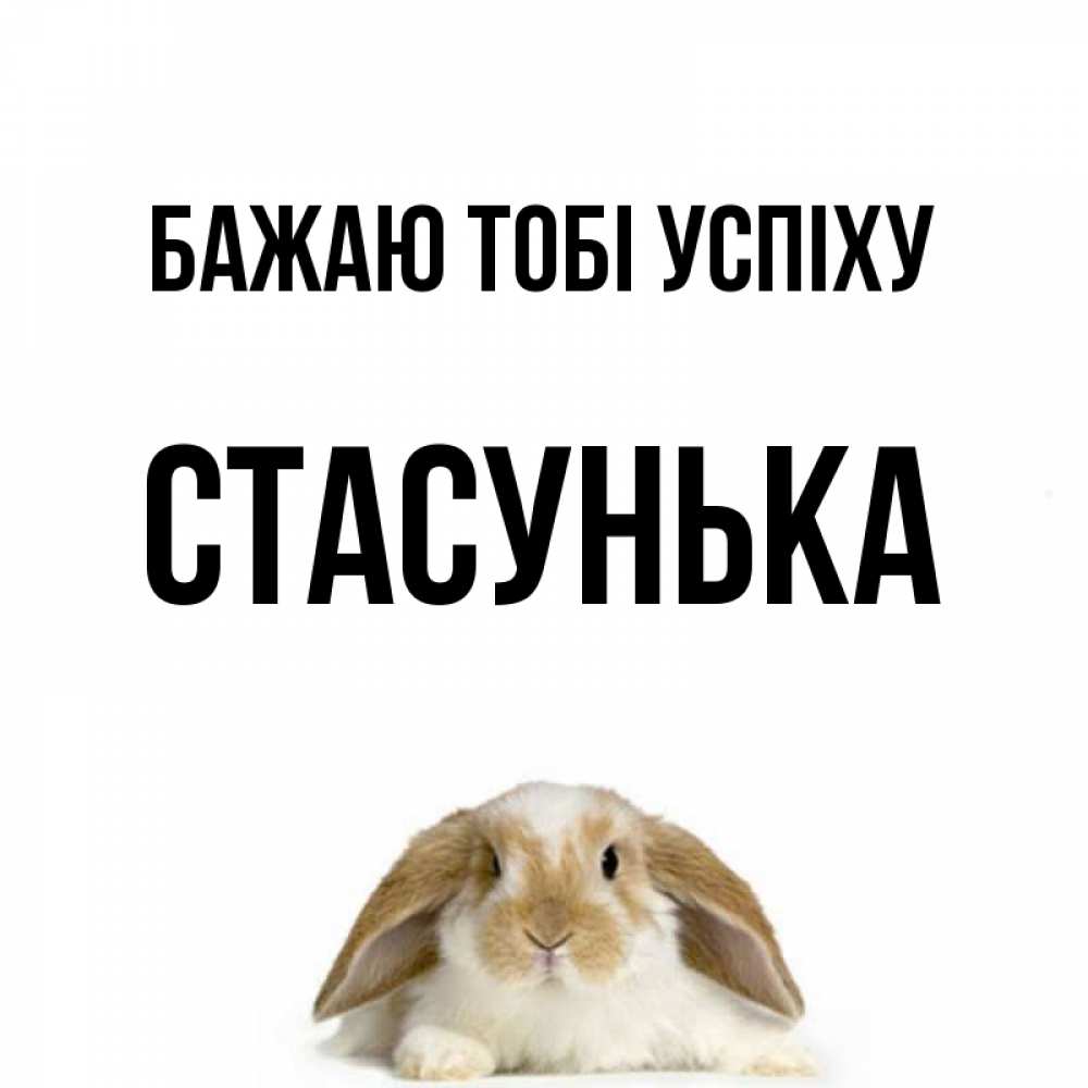 Открытка на каждый день з підписом, Стасунька Бажаю тобі успіху открытки с произвольным текстом который можно вставить в открытку и создать ее самостоятельно бесплатно онлайн Прикольна листівка з побажанням онлайн скачати безкоштовно 