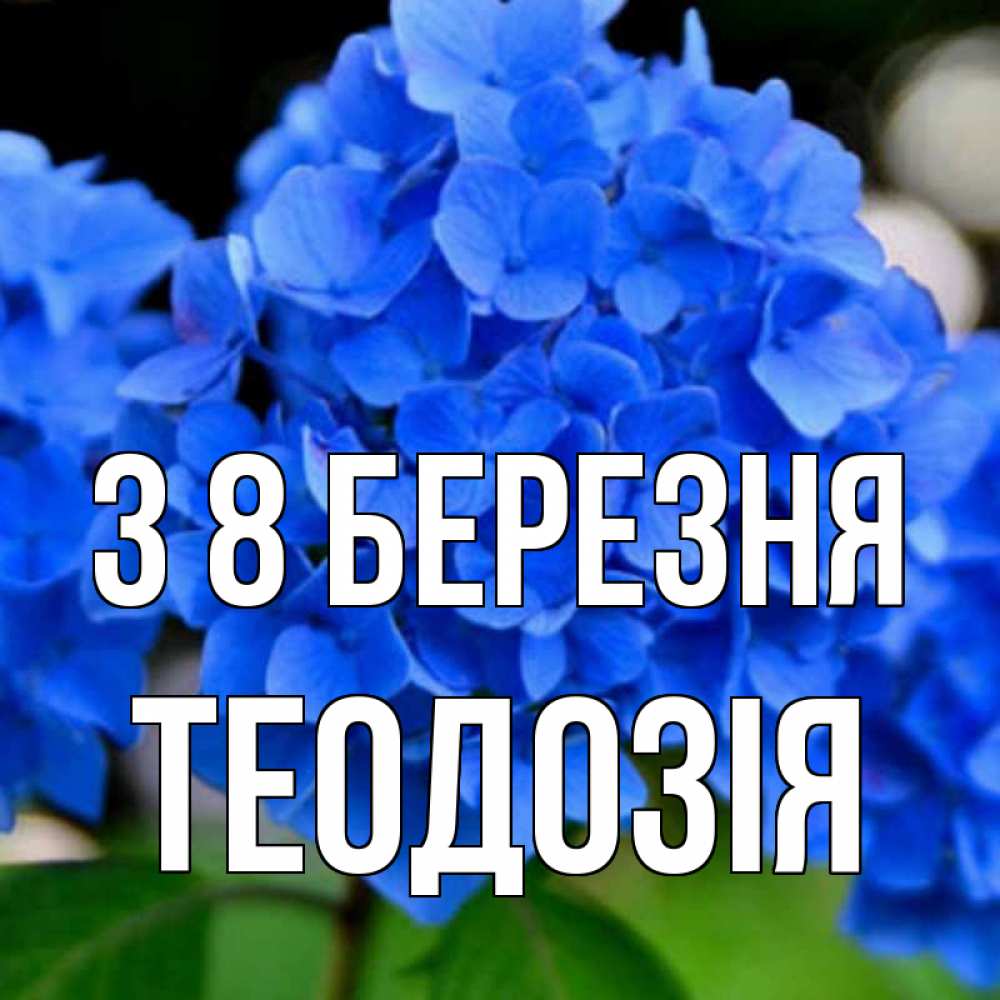 Открытка на каждый день з підписом, Теодозія З 8 БЕРЕЗНЯ синие цветы Прикольна листівка з побажанням онлайн скачати безкоштовно 