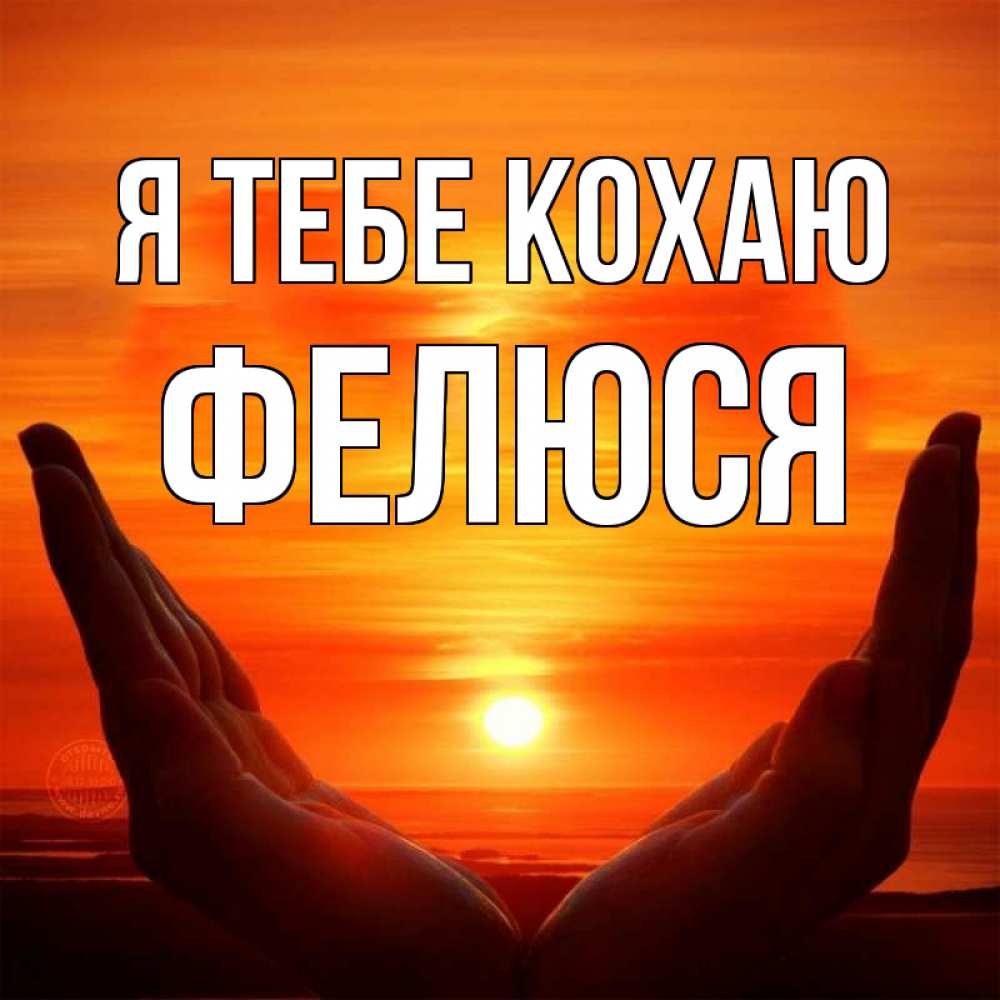 Открытка на каждый день з підписом, Фелюся Я тебе кохаю в руках Прикольна листівка з побажанням онлайн скачати безкоштовно 