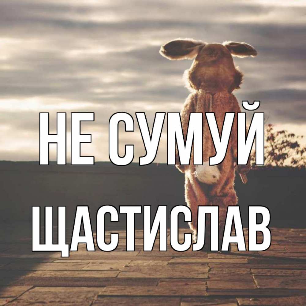 Открытка на каждый день з підписом, Щастислав Не сумуй со спины Прикольна листівка з побажанням онлайн скачати безкоштовно 