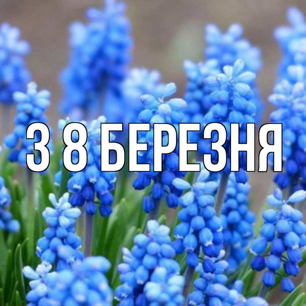 Открытка на каждый день з підписом, выберите-имя З 8 БЕРЕЗНЯ Поздравительная открытка для женщин с цветами на праздничную дату Прикольна листівка з побажанням онлайн скачати безкоштовно 