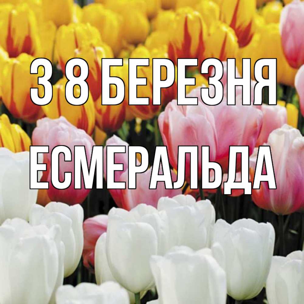 Открытка на каждый день з підписом, Есмеральда З 8 БЕРЕЗНЯ разноцветные цветы Прикольна листівка з побажанням онлайн скачати безкоштовно 