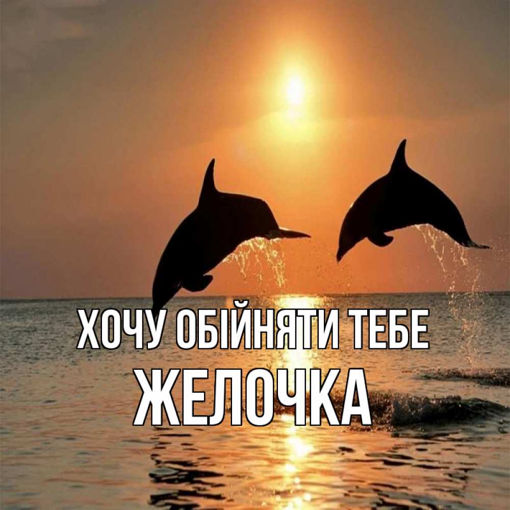 Открытка на каждый день з підписом, Желочка Хочу обійняти тебе рыбы на закате Прикольна листівка з побажанням онлайн скачати безкоштовно 