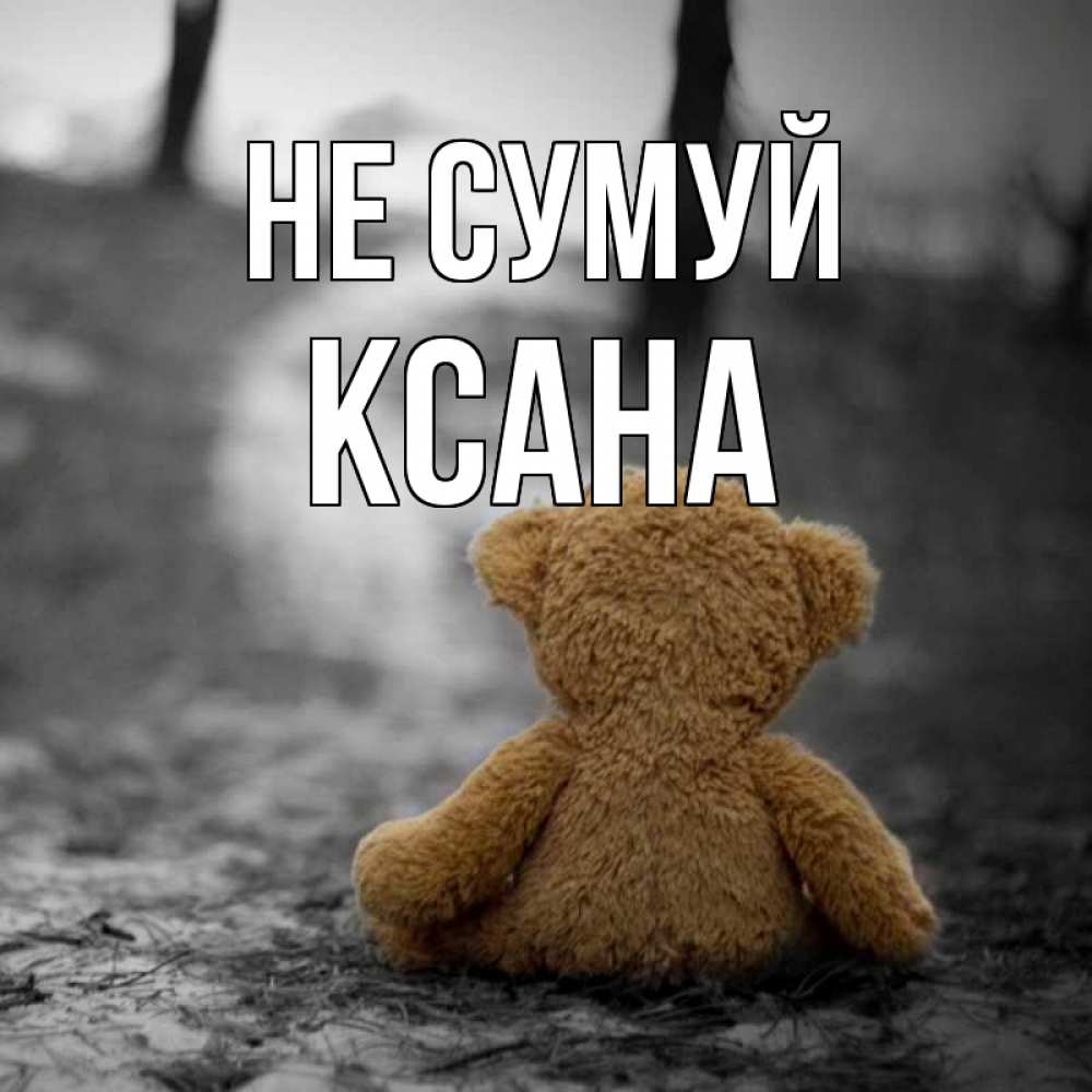 Открытка на каждый день з підписом, Ксана Не сумуй медведь со спин Прикольна листівка з побажанням онлайн скачати безкоштовно 